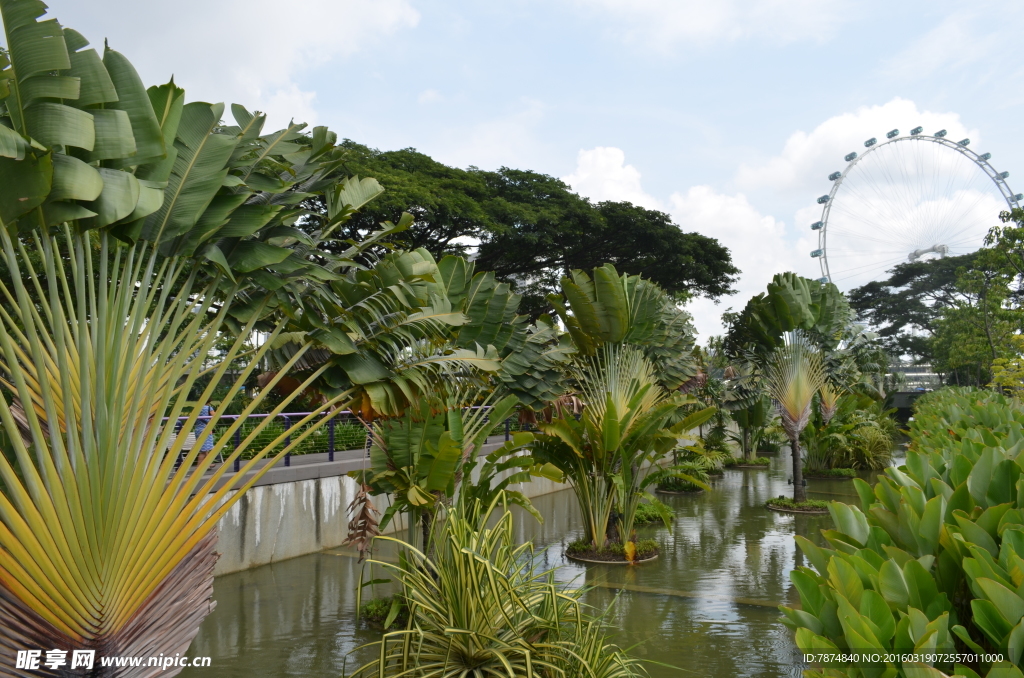 新加坡滨海植物园