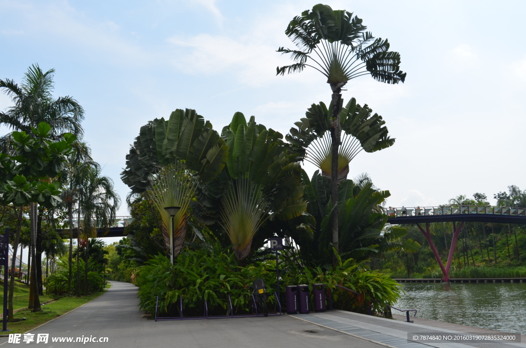 新加坡滨海植物园