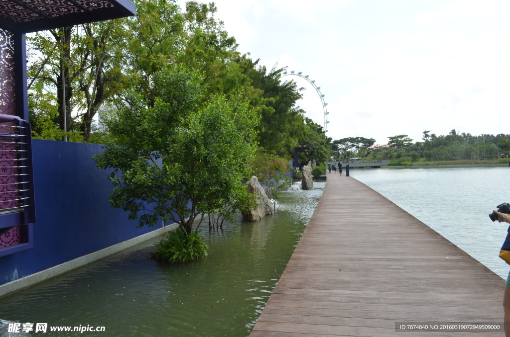新加坡滨海植物园