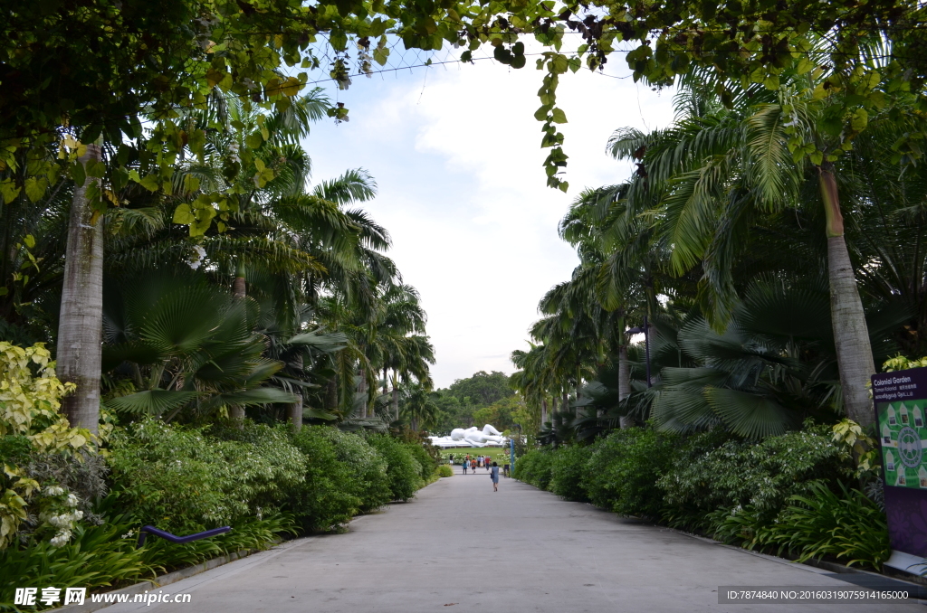 新加坡滨海空中花园
