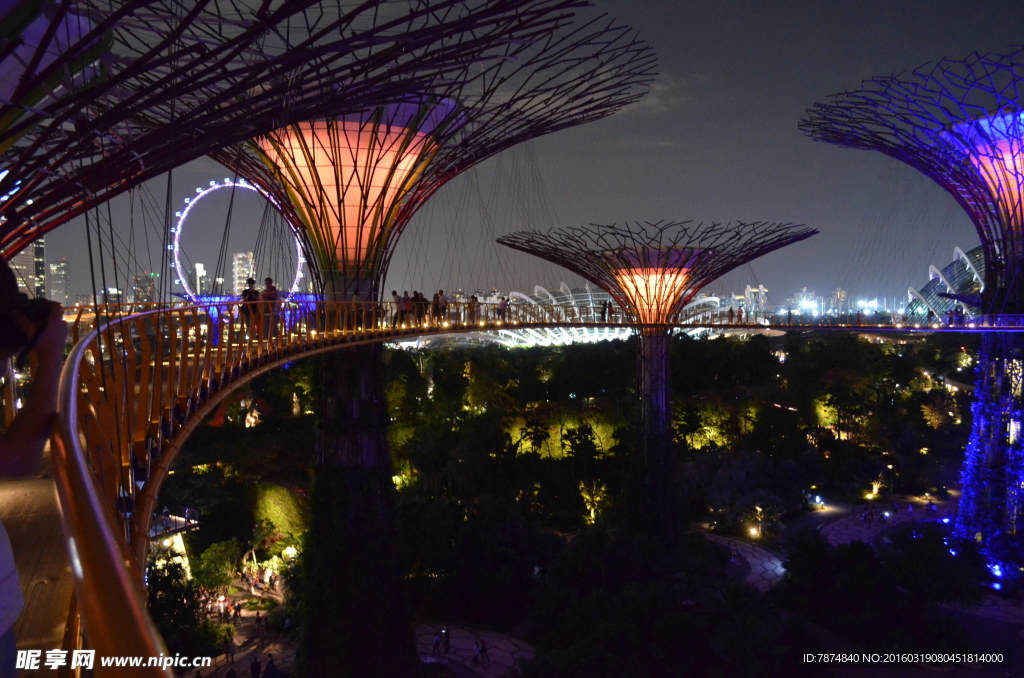 新加坡夜景