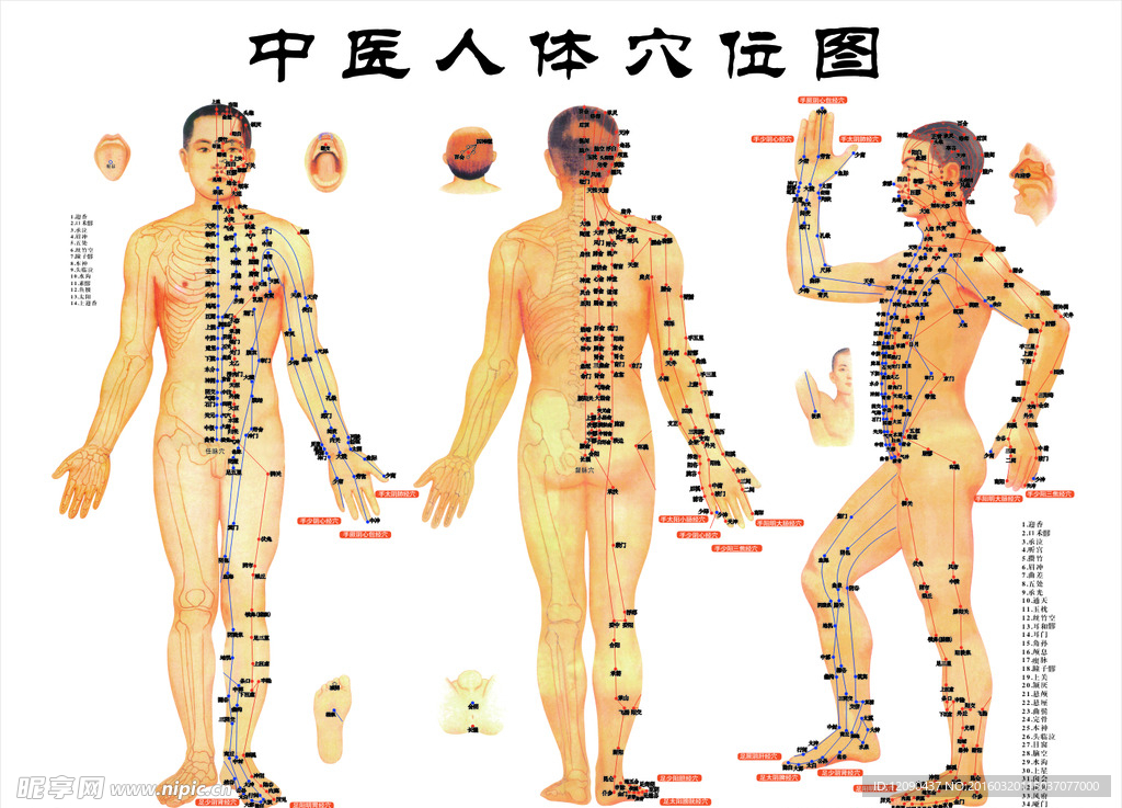 美容海报