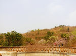 松林桃花山