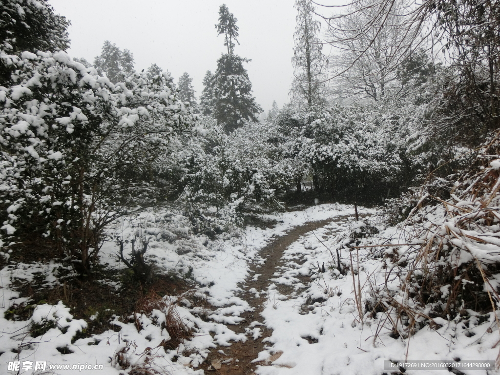 雪山