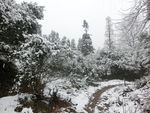 山中雪景