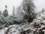 山中雪景