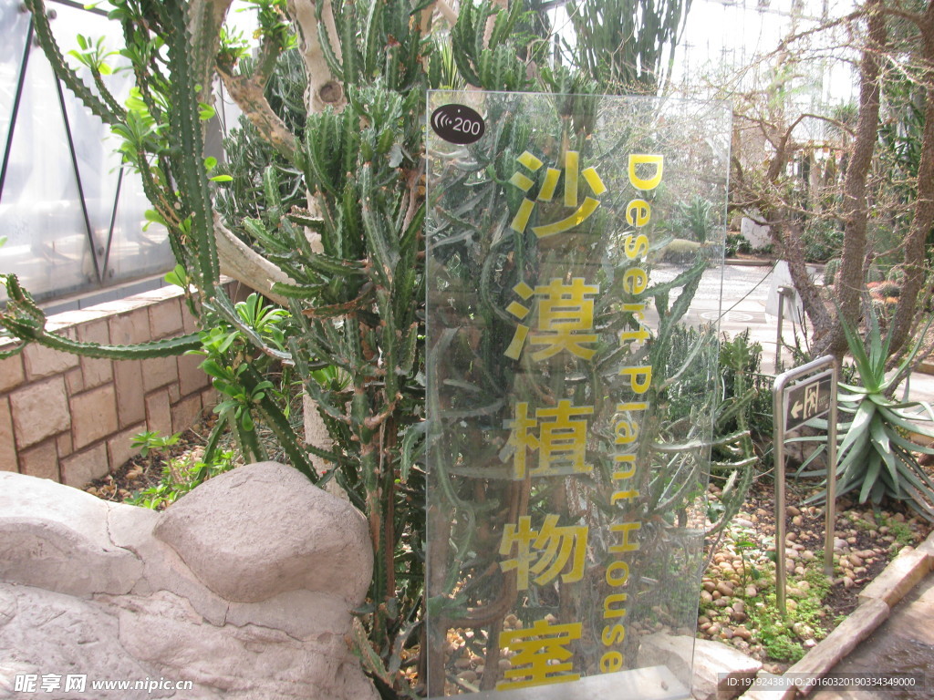 植物园温室