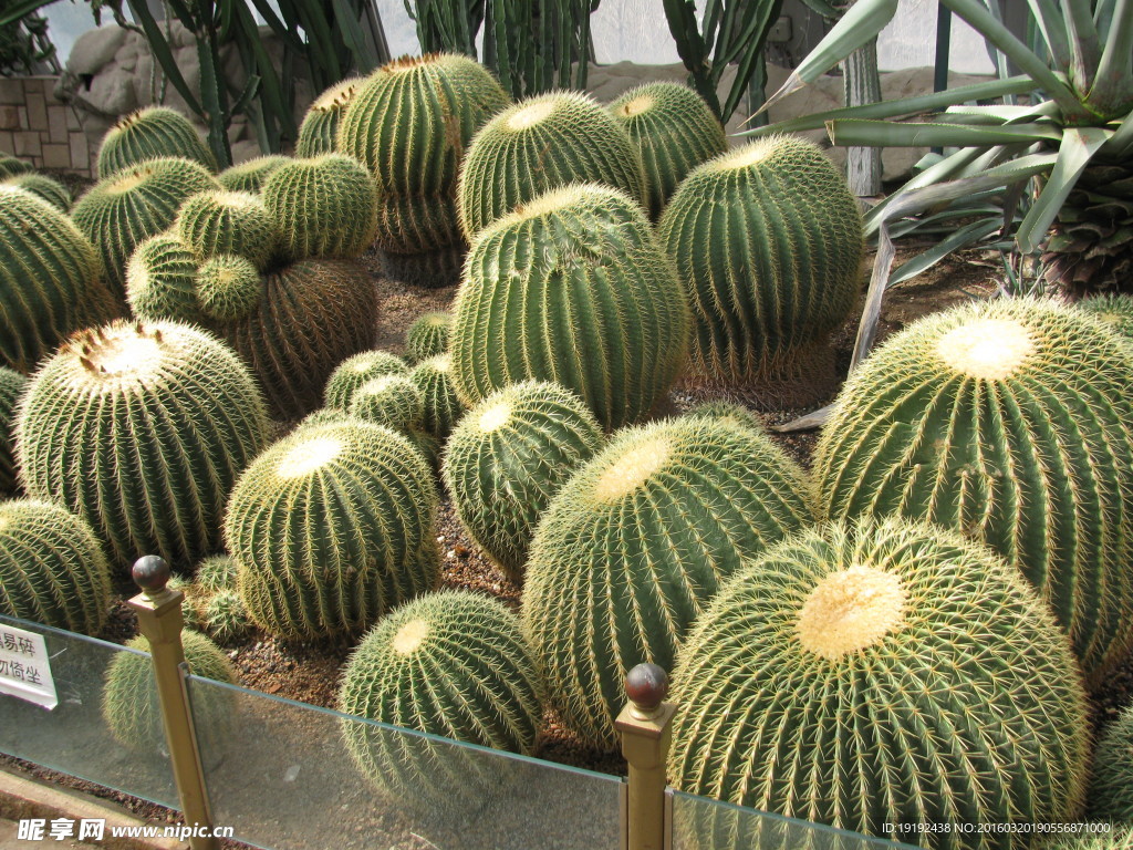 植物园温室