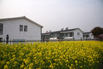 新农村建筑