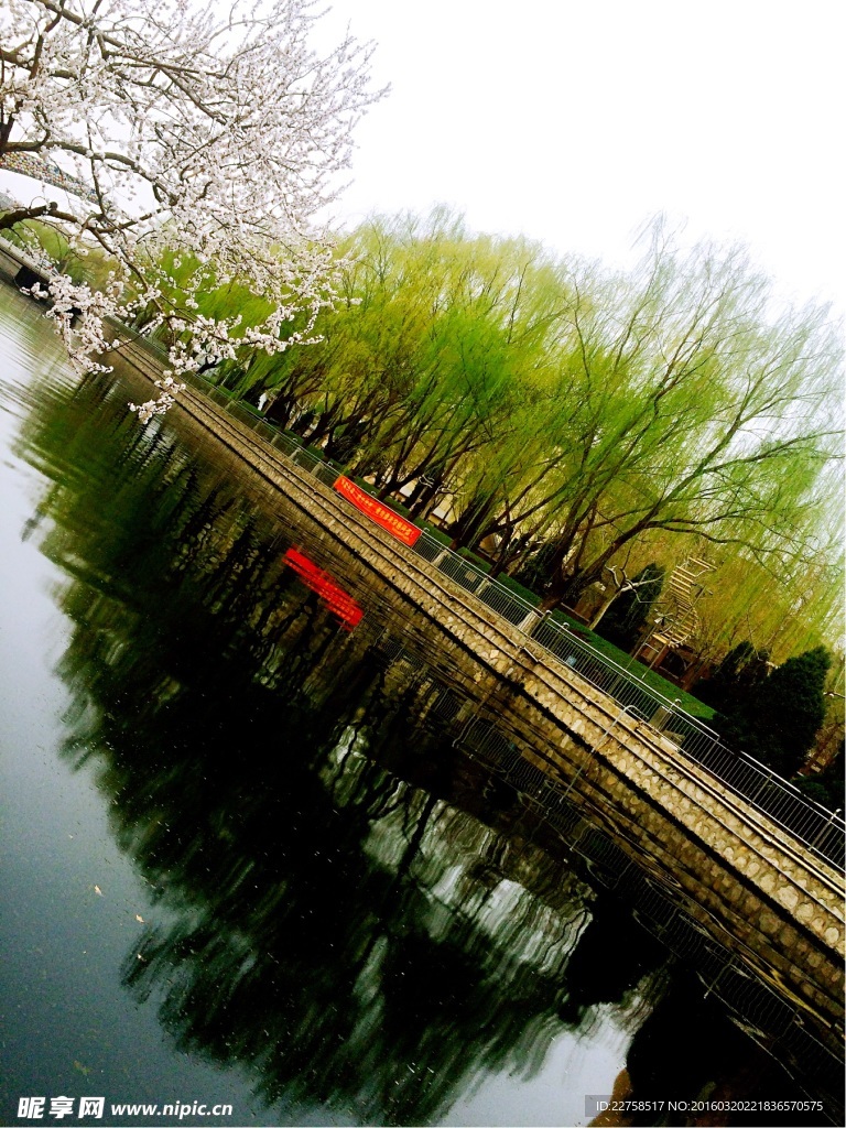 春水