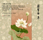 雅致谨贺新年莲花插画