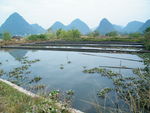 桂林阳朔遇龙河景区