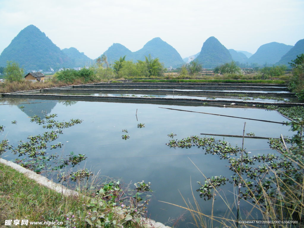 桂林阳朔遇龙河景区