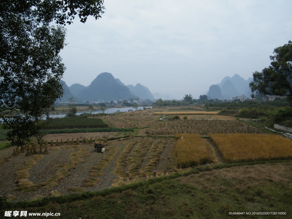 桂林阳朔遇龙河景区