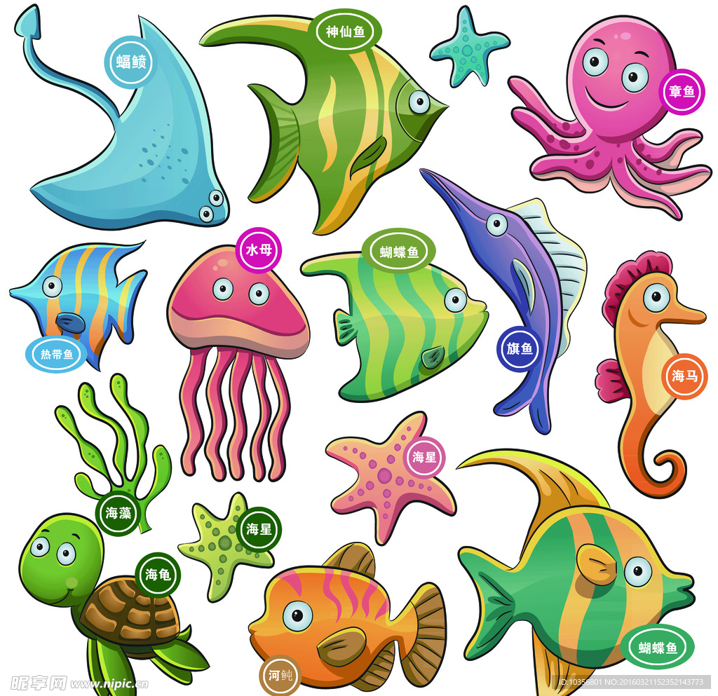 海底生物