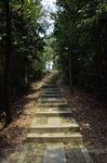 山间小路