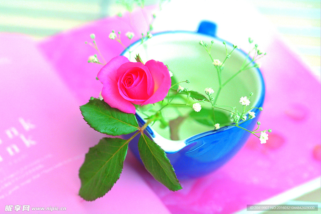 玫瑰花