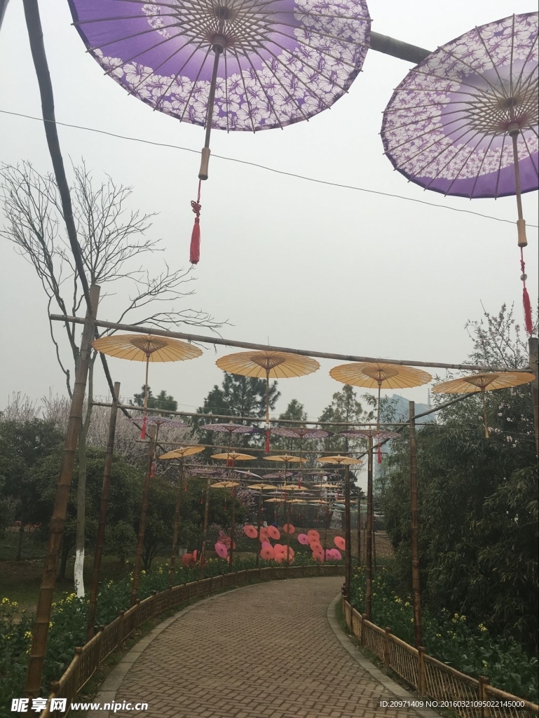 伞长廊
