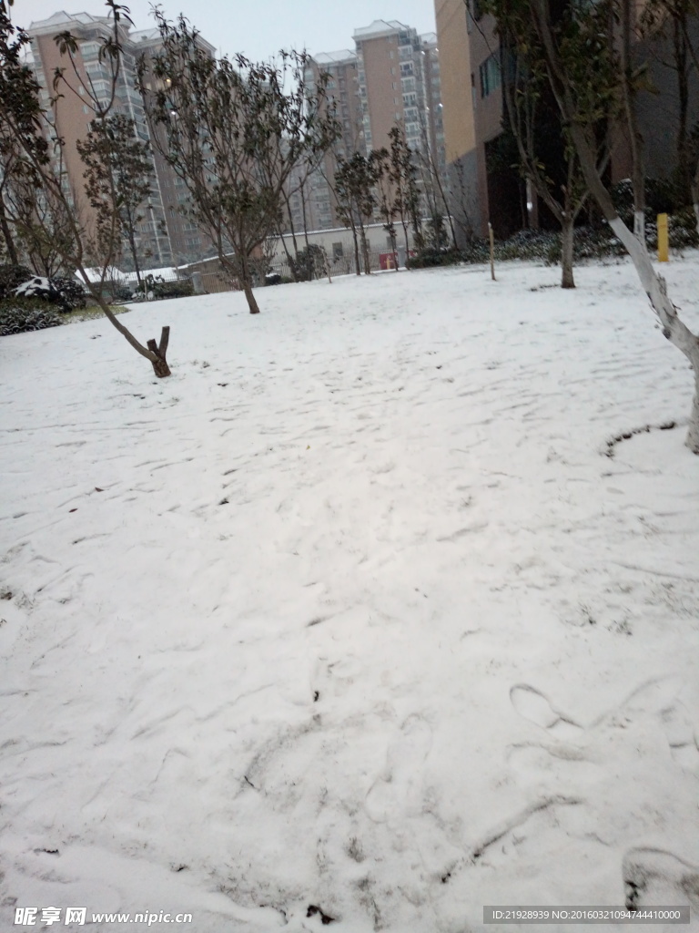 雪景