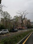 城市绿化带