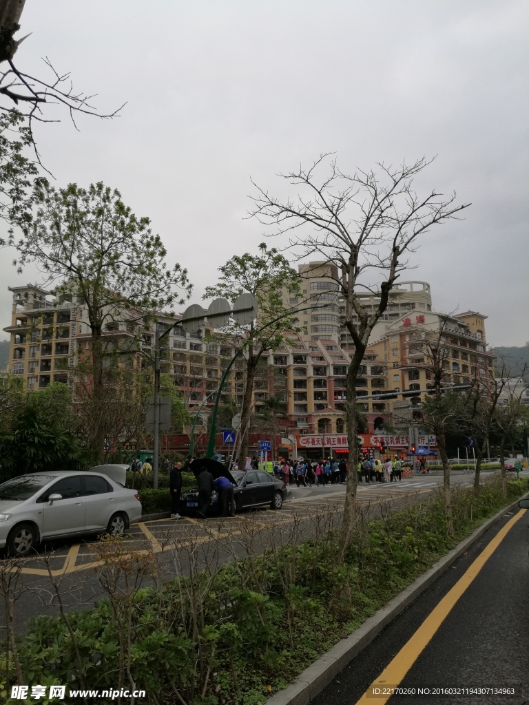 城市绿化带