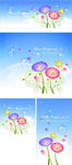 水泡蝴蝶和彩色菊花