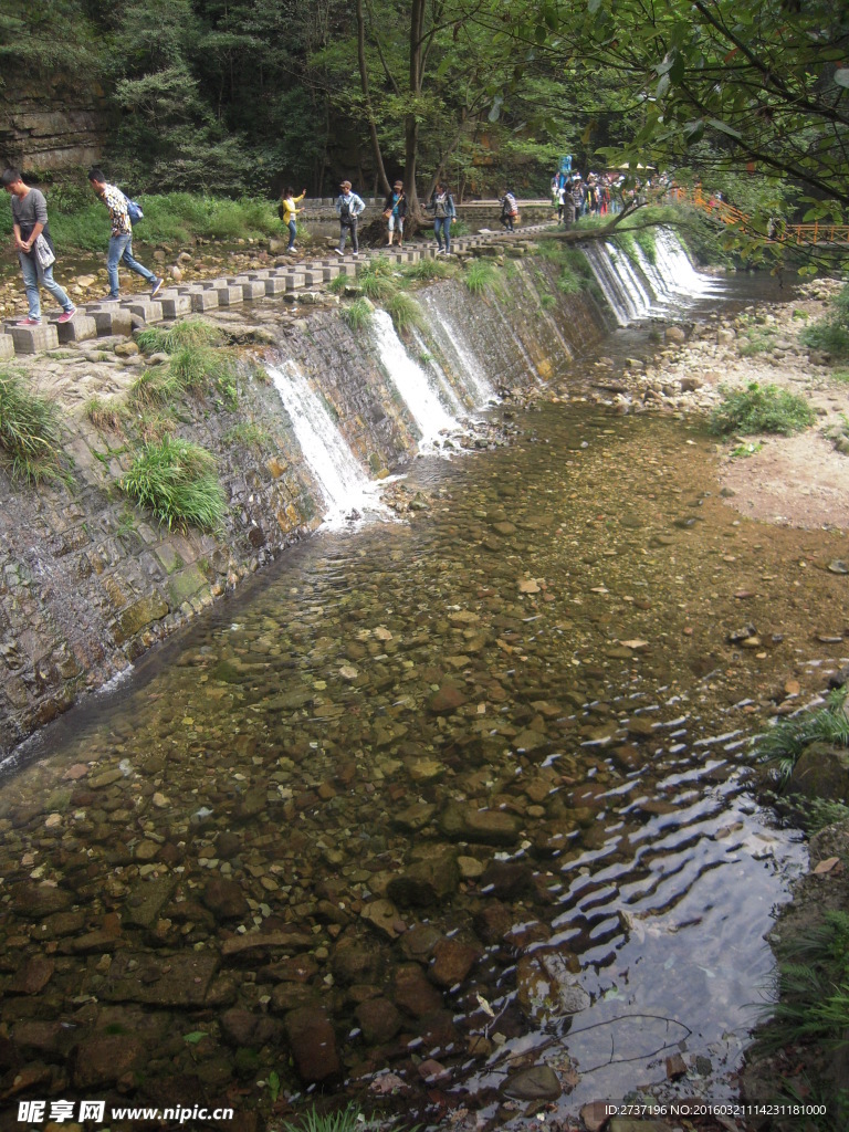 金鞭溪风景