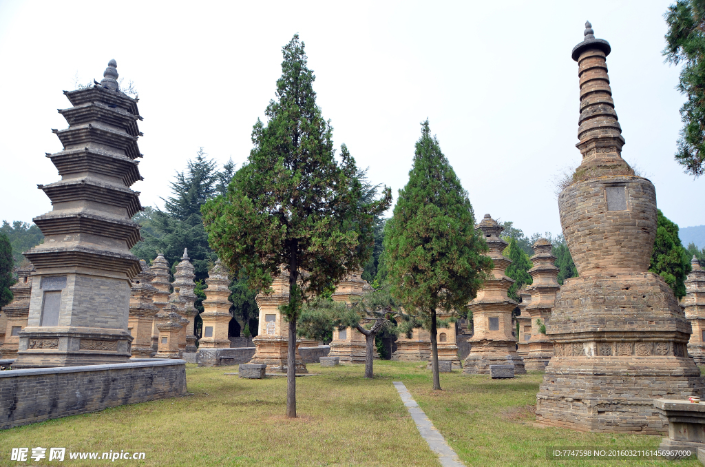 少林寺塔林