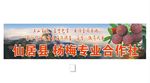 仙居杨梅门头