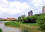 哈尔滨新区风景