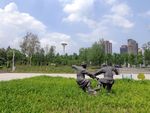 哈尔滨新区风景