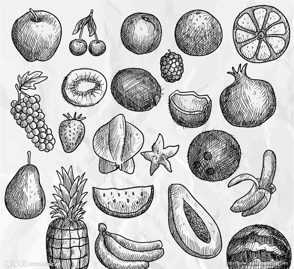 22款手绘水果设计矢量素材