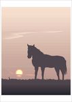 夕阳