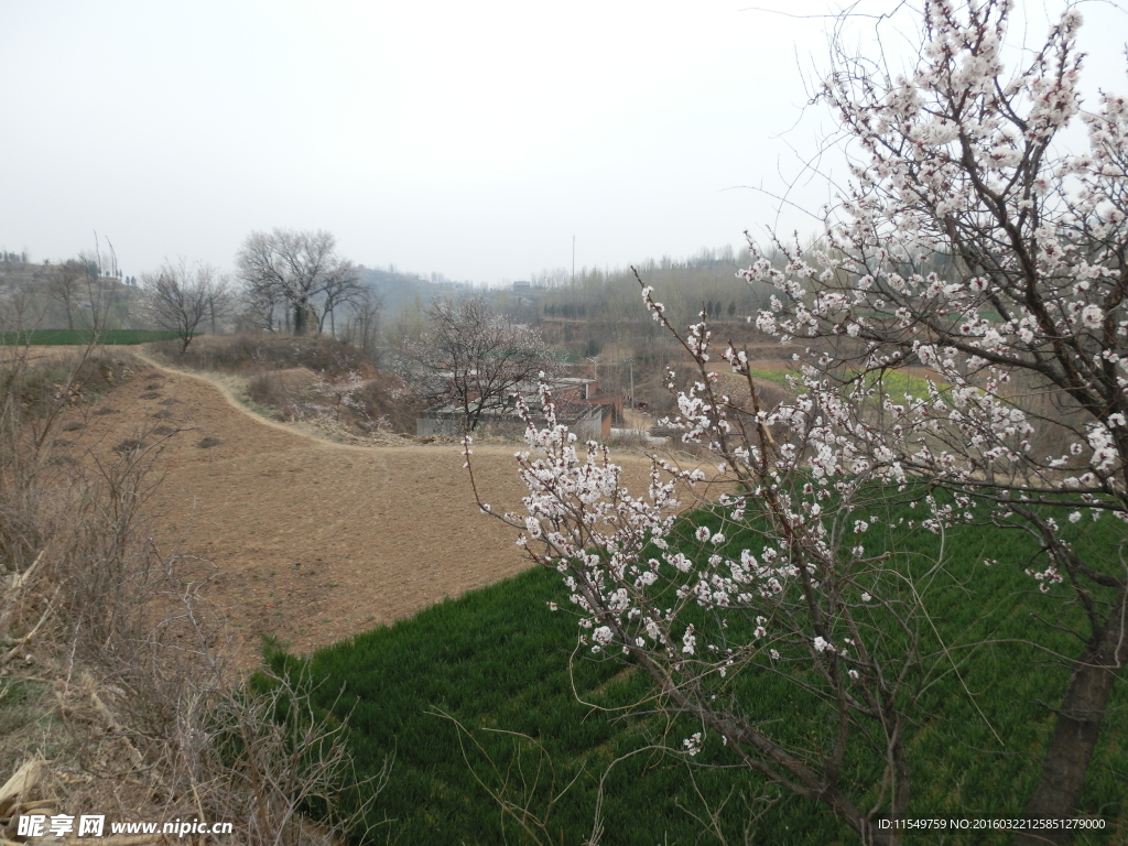 登封乡村