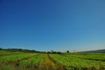 草原天空