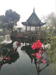 无锡 蠡园