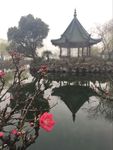 无锡 蠡园