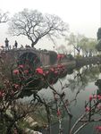 无锡 蠡园