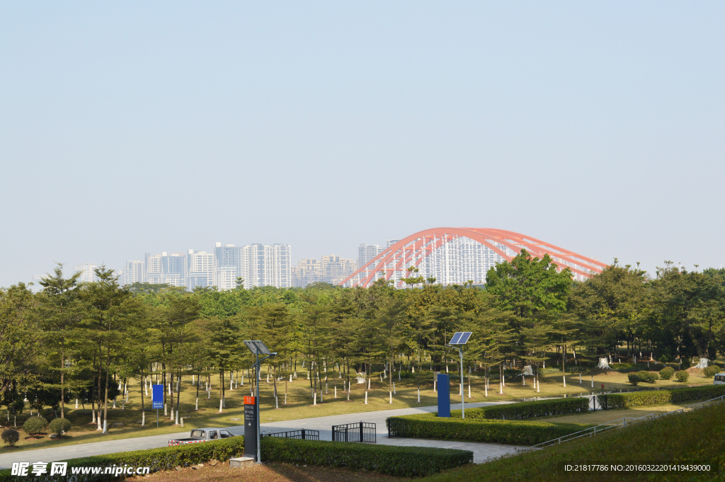城市