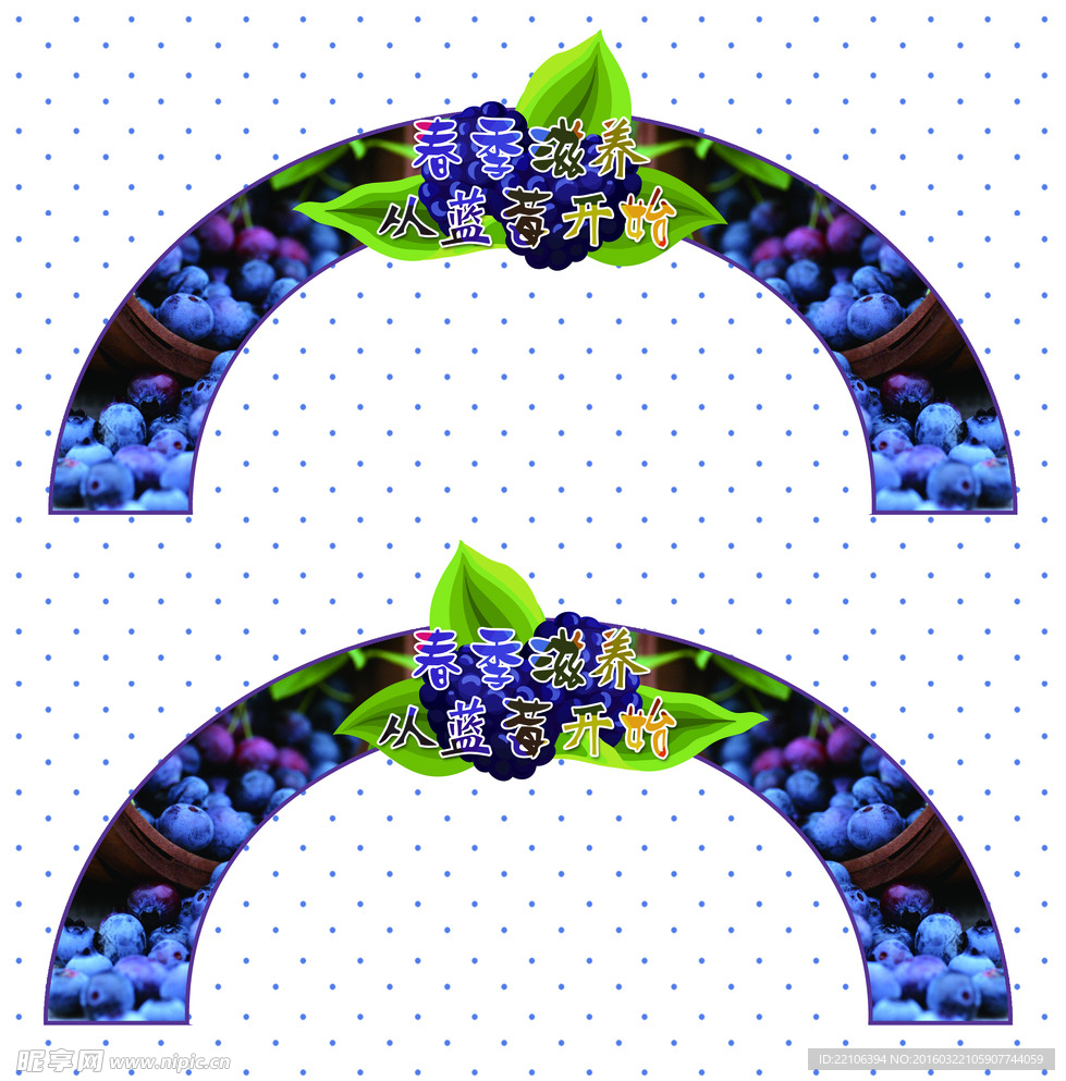 蓝莓异形造型