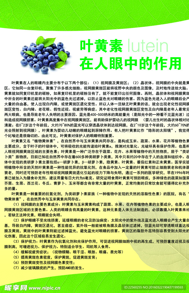 眼睛常识