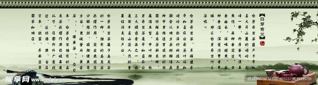白芽奇兰