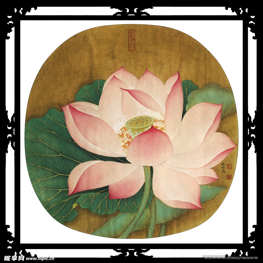 精品工笔荷花国画