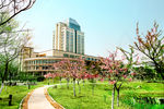江南大学