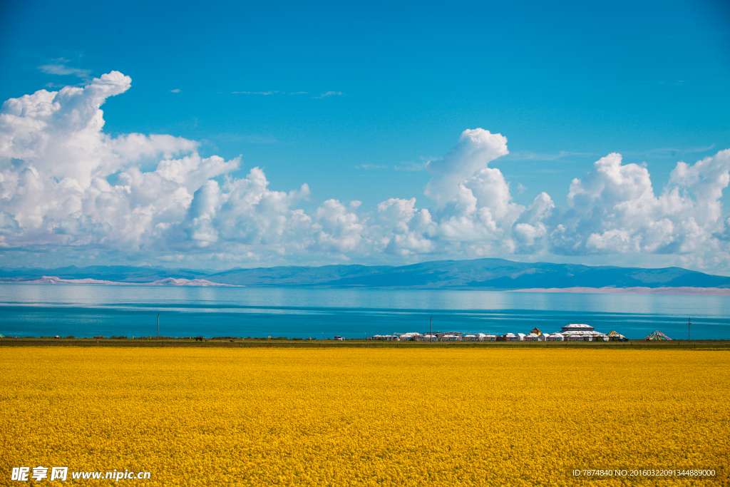 青海湖