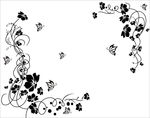 角花 蝴蝶