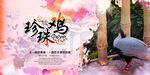 珍珠鸡野生动物图片设计