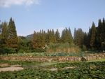 南京白马石刻公园