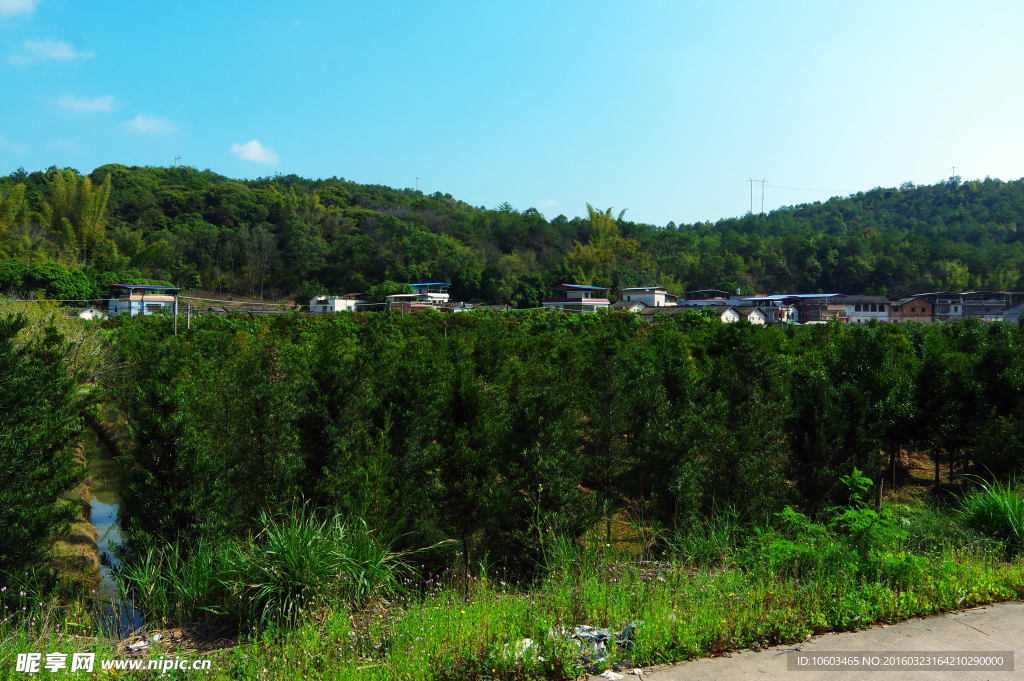 乡村山水 山水民居