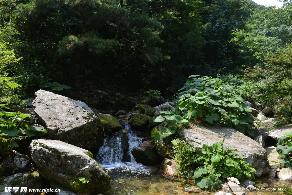 溪流 河谷